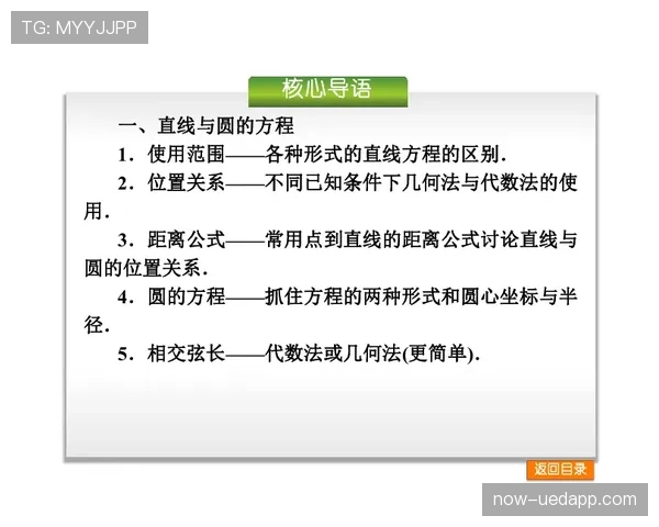 垂直起跳规则的基本要点与常见误区解析